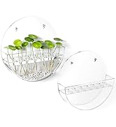 FEMELI Wall Planters 2 Pack Acrylic Clear Wall Hanging Planters,Propagation Wall Hanging, for Pro...