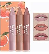 Easilydays Matte Nude Lip Crayon Lipstick, 3 Colors Waterproof Longwear Color Stick Ultimate Lip ...