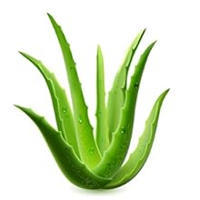 natural hand cream