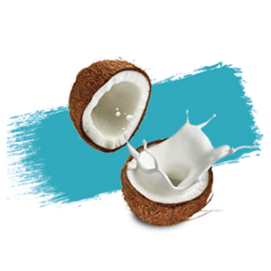 coconut