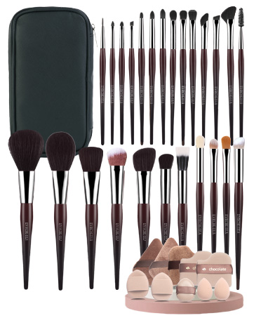 professional makeup brushes set