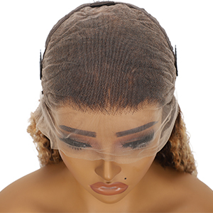 Blonde Highlight Lace Front Wig Human Hair