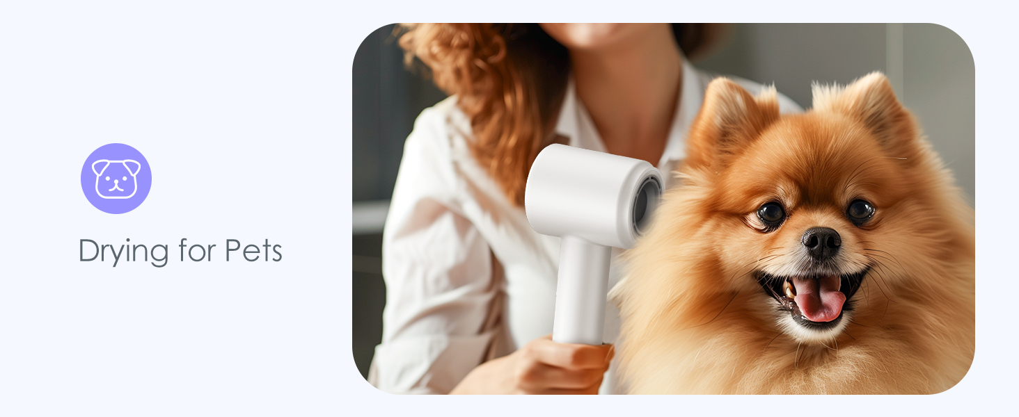 Hair Dryer Diffuser with Ionic Blow Dryer for Women