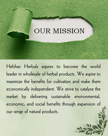 Our Mission