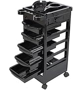 BYOOTIQUE Salon SPA Trolley Storage Cart Coloring Beauty Salon Hair Dryer Holder with 5 DrBYOOTIQ...
