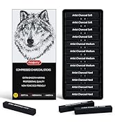 PANDAFLY Compressed Charcoal Sticks, 12 Pieces (Soft, Medium, Hard) Square Vine Charcoal Sticks f...