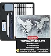 PANDAFLY White Charcoal Pencils Set, 14 Piece White Colored Pencils for Drawing, Sketching, Shadi...