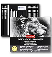 PANDAFLY Drawing Sketching Pencil Set, 22 Piece Pro Art Pencil Kit - Graphite Pencils (12B-2H), B...