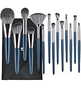 SHELWIN Professional Makeup Brush Set 14Pcs Makeup Brushes Kit Foundation Eyeshadow Powder Blendi...