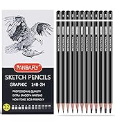 PANDAFLY Professional Drawing Sketching Pencil Set - 12 Pieces Graphite Pencils(14B - 2H), Ideal ...
