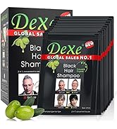 Duoffanny Black Hair Shampoo Instant Hair Dye Semi-Permanent Portable Hair Color Black Hair Color...