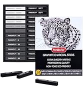 PANDAFLY Compressed Graphite Charcoal Sticks, 24 Pieces Black & White Vine Charcoal Sticks for Dr...
