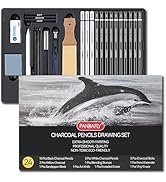PANDAFLY Charcoal Pencils Drawing Set, 24 Piece Black & White Charcoal Pencils for Drawing, Sketc...