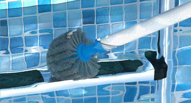 pool brush
