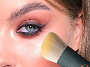 make up brush set
