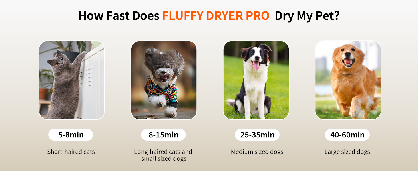 pet dryer
