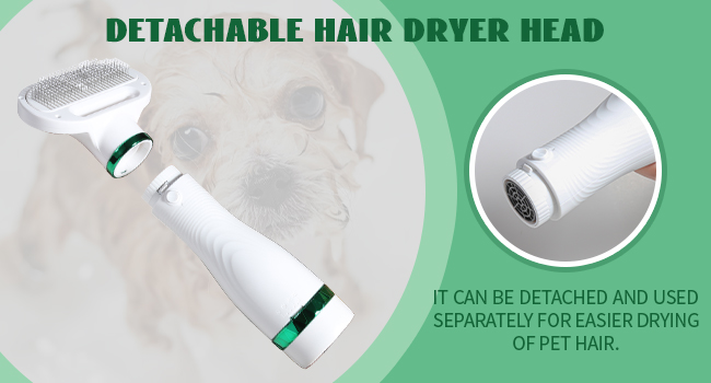 Pet Hair Dryer with Slicker Brus