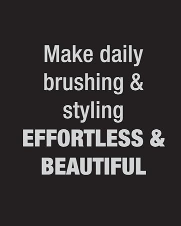 conair brushes and styling_brand story_ module 1