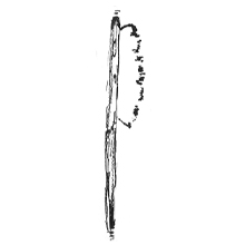 Brush drawing 2
