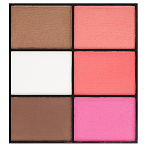 BLUSHES AND HIGHLIGHTER MAKEUP