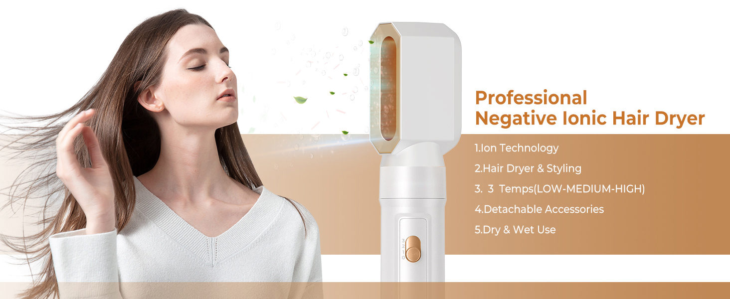 Blow Dryer Brush