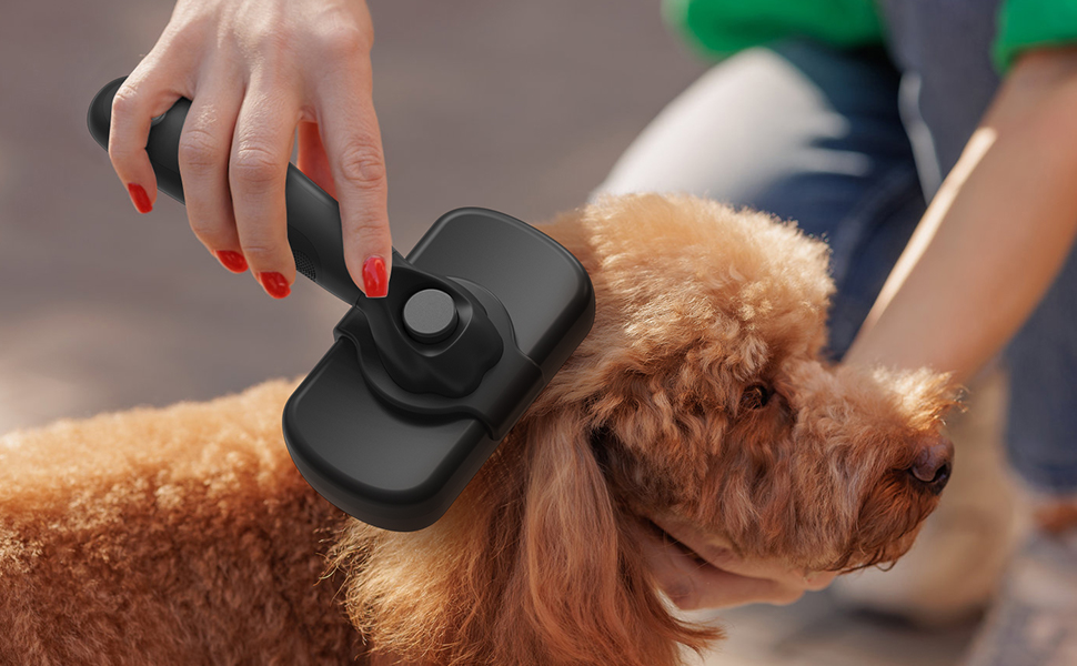 dog brush