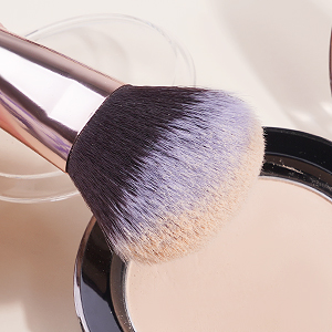brushes set
