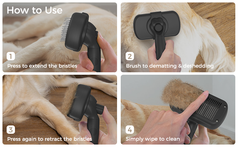 dog brush