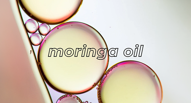 moringa oil