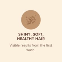 Shiny hair icon with text Soft, healthy, shiny hair from the first wash