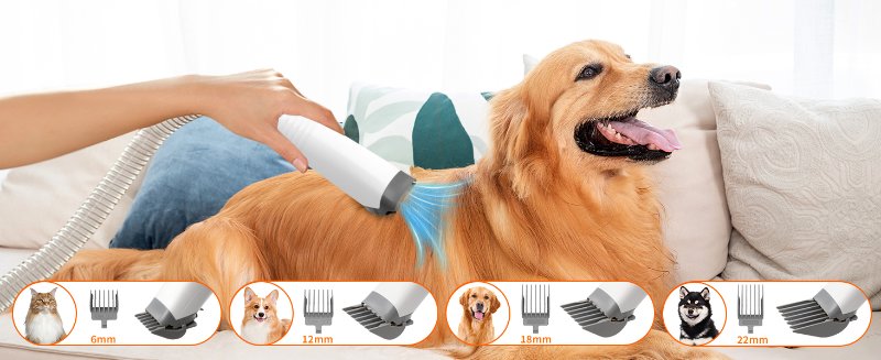 pet vaccuum