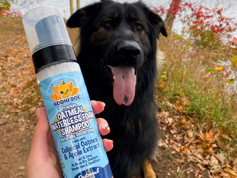 dog uses waterless shampoo after a hike and before getting in the car