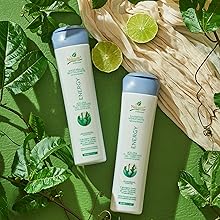 Fast Growth Naissant Natural Energy Hair Loss Shampoo Conditioner Hydration Mask Marine Glycogen