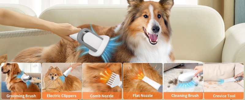 pet vacuum
