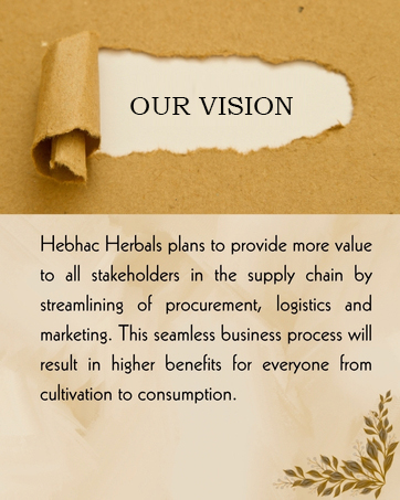 Our Vision