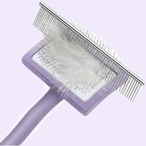 slicker brush for poodles