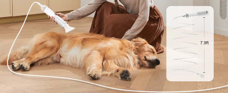 dog dryers for grooming