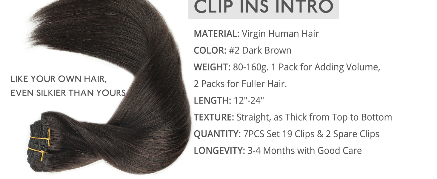 CLIP INS INTRO