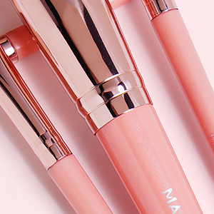 professional makeup brush