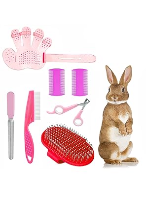 bunny litter