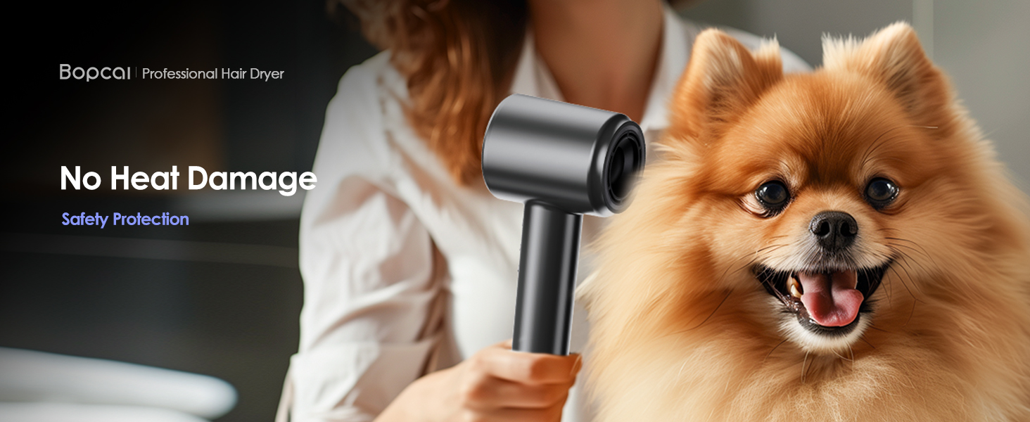 Ionic hair dryer
