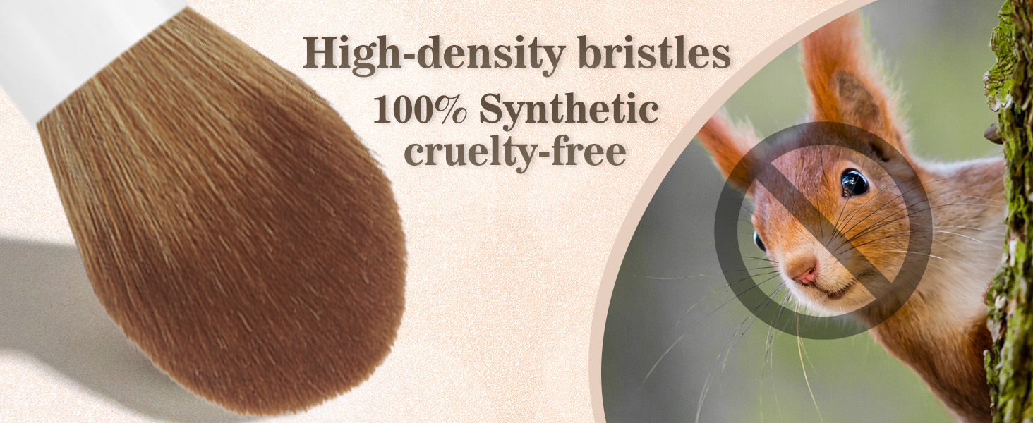 Make Up Brushes 