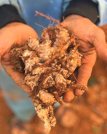 khadi natural​ Ingredients