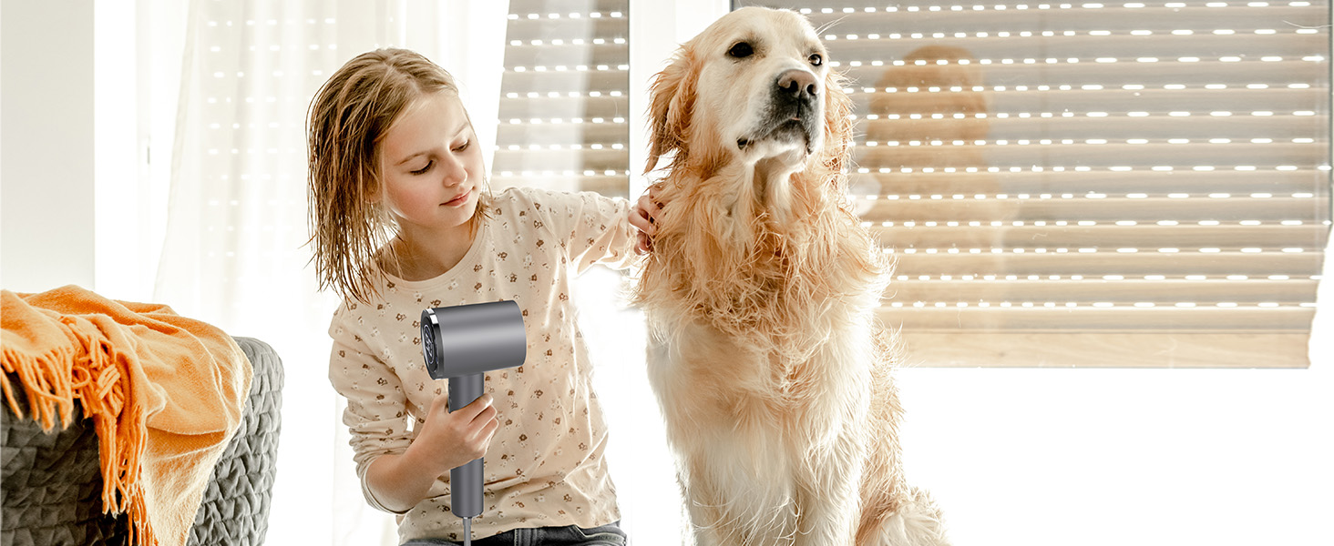 hair dryers for pet