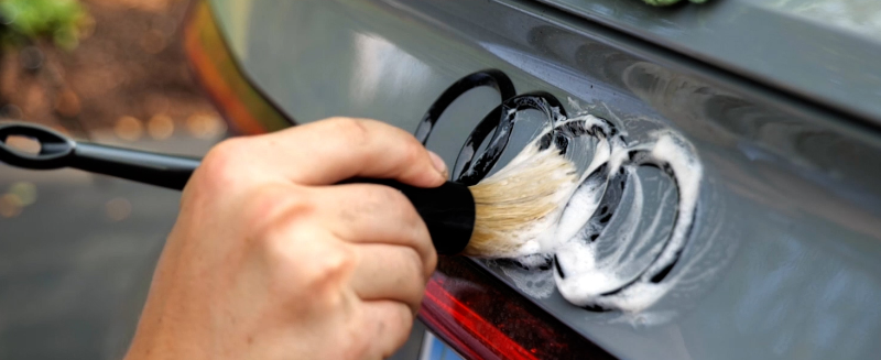 emblem detailing