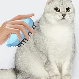spray cat brush for shedding 3 in 1 cat steamy brush with water tank Comb for  Removing Tangled  
