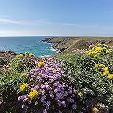 BarkLogic Botanicals on the coast