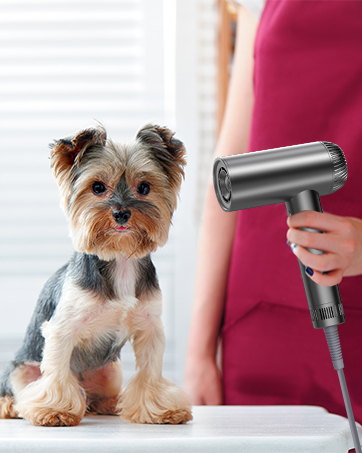 hair blow dryer