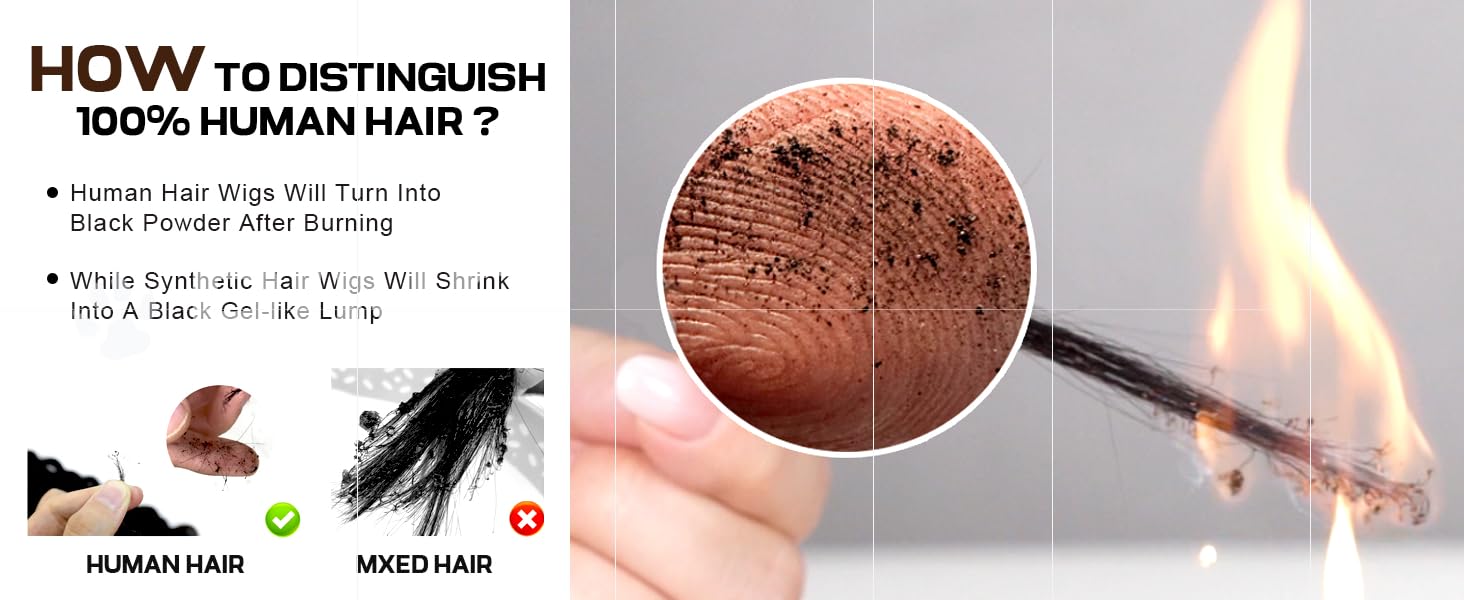 Ombre Highlight Honey Blonde Human Hair 180 Density Straight Wigs for Women