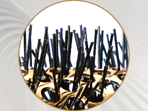 Round Brush